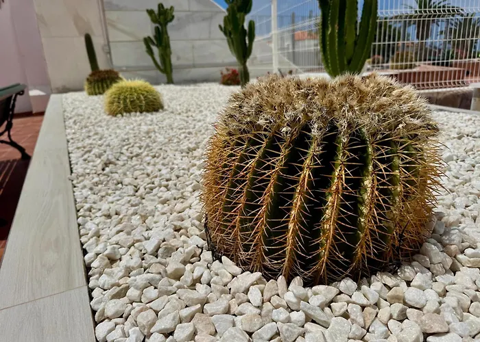 San Eugenio Charming Renovated Tenerife Адехе