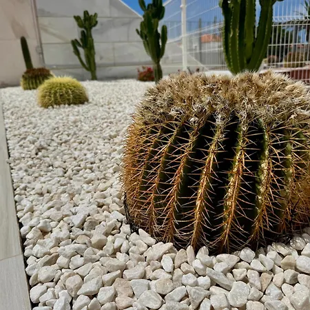 San Eugenio Charming Renovated Tenerife 阿德耶